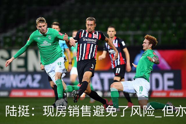 陆挺：现房销售避免了风险 但亦存在现实问题
